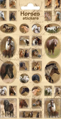 Stickervel paarden classic